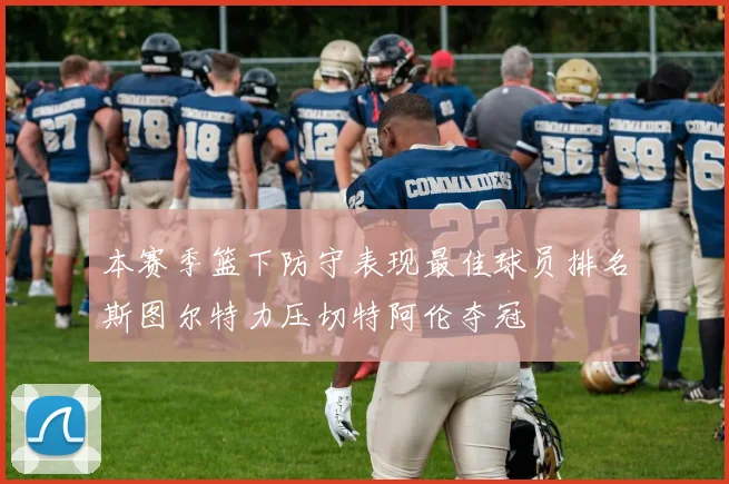 本赛季篮下防守表现最佳球员排名斯图尔特力压切特阿伦夺冠