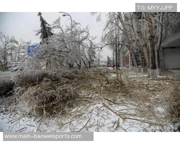 长春明天或迎雨夹雪天气拉米罗强调北方球队不找借口 长春明天或迎雨夹雪天气拉米罗强调北方球队不找借口